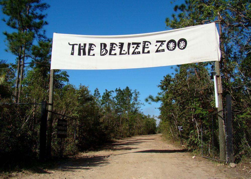 Зоопарк Белиза