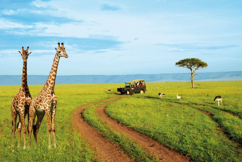 Туристическое страхование в Кению