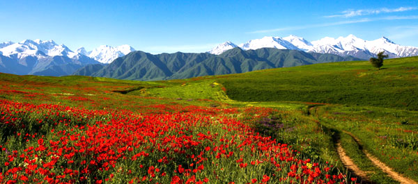Туристическое страхование в Киргизию