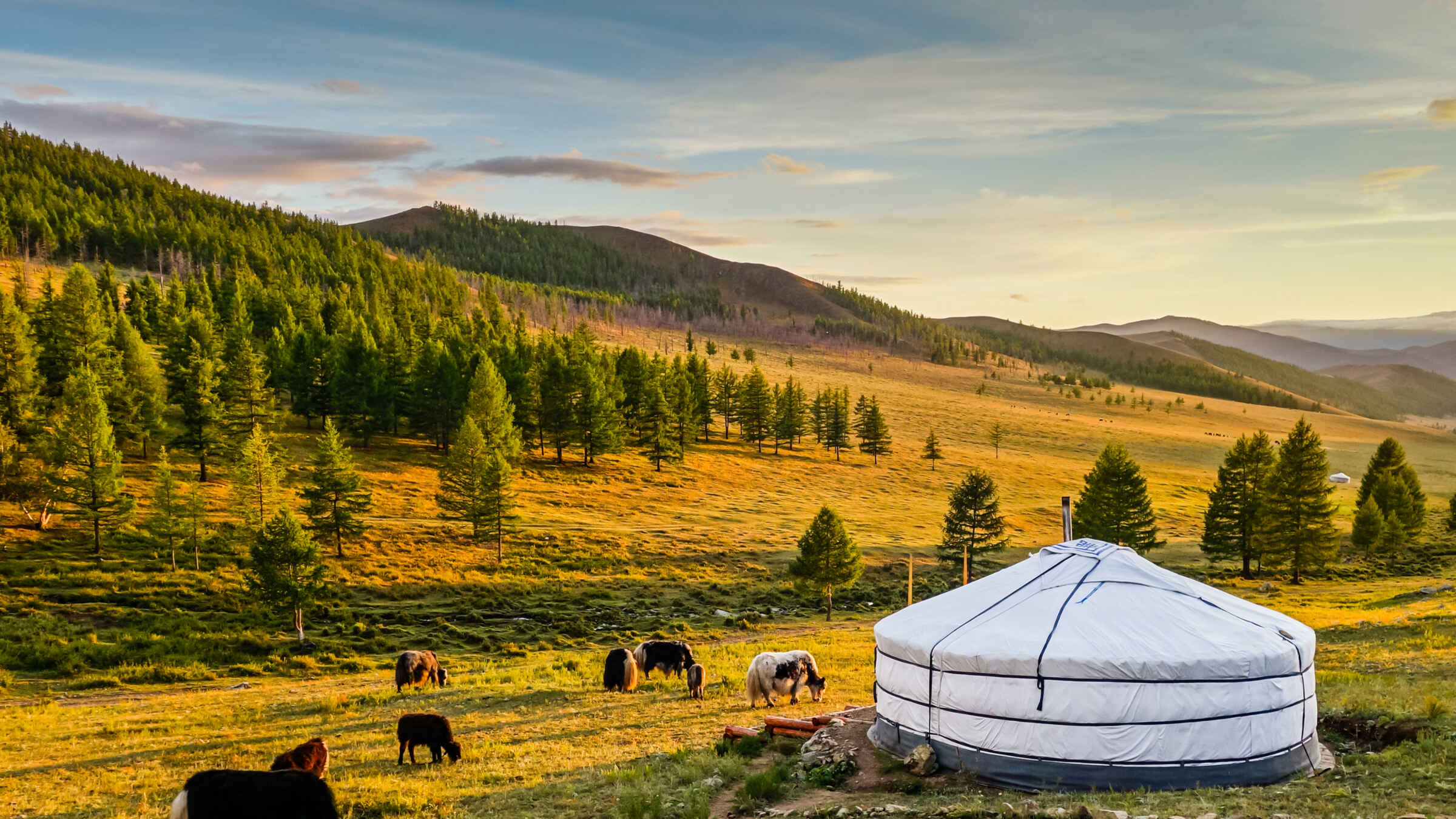 Туристическое страхование в Монголию